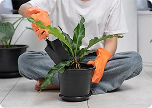 person in front of plants with orange gardening gloves