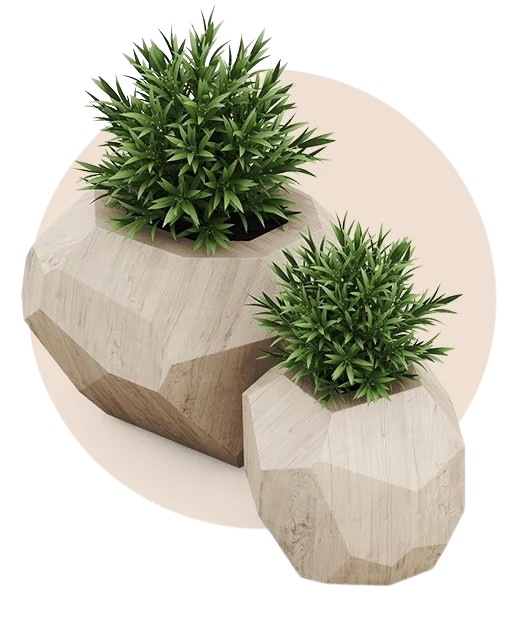 Image of two succulents plants in potters